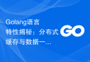 Golang语言特性揭秘：分布式缓存与数据一致性