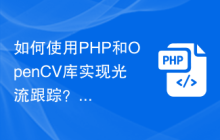 如何使用PHP和OpenCV库实现光流跟踪？