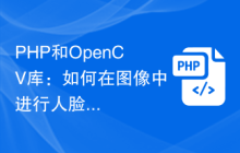 PHP和OpenCV库：如何在图像中进行人脸表情识别？