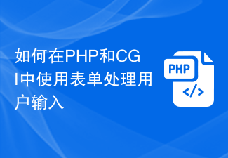 如何在PHP和CGI中使用表單處理使用者輸入