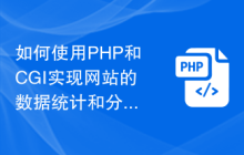 如何使用PHP和CGI实现网站的数据统计和分析