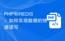 PHP和REDIS：如何实现数据的快速读写