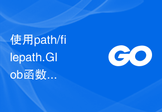 使用path/filepath.Glob函数列出指定模式的文件路径列表，并返回文件信息对象列表及错误信息