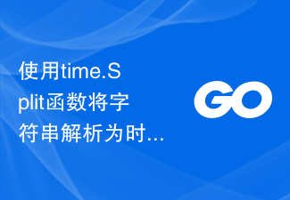 Utilisez la fonction time.Split pour analyser une chaîne dans un format d'heure et renvoyer les parties de date et d'heure