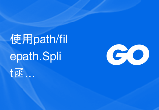 Verwenden Sie die Funktion path/filepath.Split, um den Pfad in Verzeichnis- und Dateinamenteile aufzuteilen