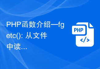 PHP函数介绍—fgetc(): 从文件中读取一个字符