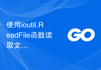 ioutil.ReadFile 함수를 사용하여 파일 내용을 읽고 바이트 슬라이스를 반환합니다.