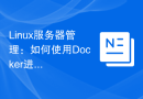 Linux服务器管理：如何使用Docker进行快速部署和扩展？