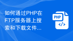 Bagaimana untuk mencari dan memuat turun fail pada pelayan FTP melalui PHP