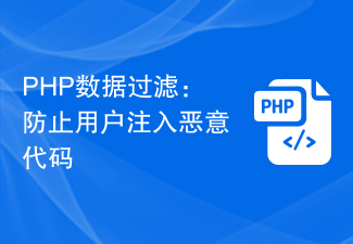 PHP-Datenfilterung: Verhindern Sie, dass Benutzer schädlichen Code einschleusen