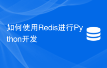 如何使用Redis进行Python开发