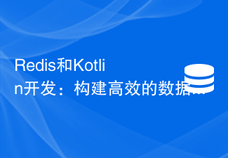 Redis と Kotlin の開発: 効率的なデータ永続化ソリューションの構築