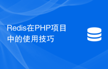 Redis在PHP项目中的使用技巧