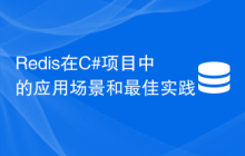 Redis在C#项目中的应用场景和最佳实践