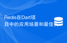 Redis在Dart项目中的应用场景和最佳实践