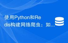 使用Python和Redis构建网络爬虫：如何处理反爬虫策略
