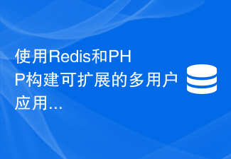 Redis 및 PHP를 사용하여 확장 가능한 다중 사용자 애플리케이션 구축