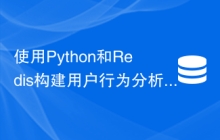 使用Python和Redis构建用户行为分析系统：如何实时处理大数据