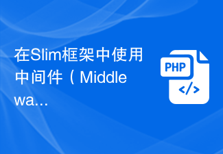 미들웨어를 사용하여 Slim 프레임워크에서 CORS(교차 도메인 리소스 공유)를 설정하는 방법