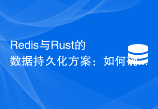 Redis および Rust 向けのデータ永続化ソリューション: データのセキュリティを確保する方法