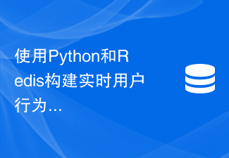 Membina sistem analisis tingkah laku pengguna masa nyata menggunakan Python dan Redis: Cara menyediakan analisis kumpulan sasaran