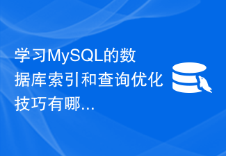 MySQL 학습을 위한 데이터베이스 인덱싱 및 쿼리 최적화 기술은 무엇입니까?