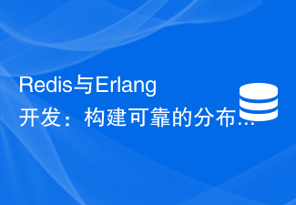 Redis と Erlang の開発: 信頼性の高い分散システムの構築