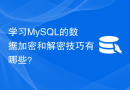 学习MySQL的数据加密和解密技巧有哪些？