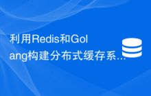 利用Redis和Golang构建分布式缓存系统：如何快速读写数据