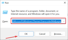 主题背景位于 Windows 11 中的什么位置？