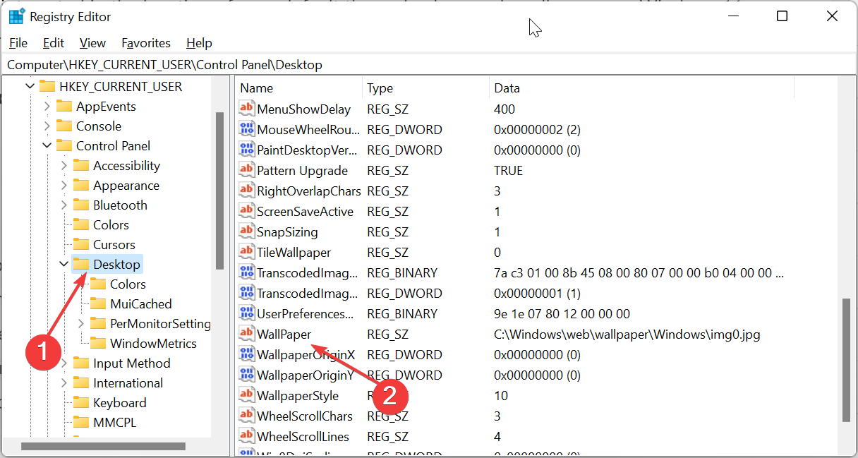 主题背景位于 Windows 11 中的什么位置？