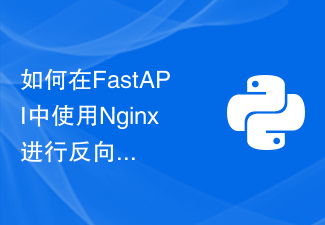 Comment utiliser Nginx avec FastAPI pour le proxy inverse et l'équilibrage de charge