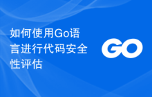 如何使用Go语言进行代码安全性评估