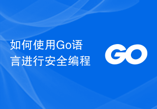 安全なプログラミングのために Go 言語を使用する方法