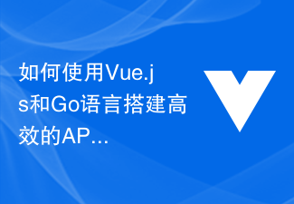 如何使用Vue.js和Go语言搭建高效的API服务