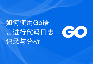 코드 로깅 및 분석에 Go 언어를 사용하는 방법