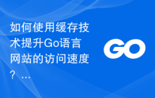 如何使用缓存技术提升Go语言网站的访问速度？