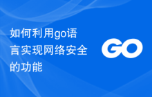 如何利用go语言实现网络安全的功能