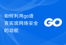 如何利用go语言实现网络安全的功能