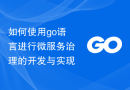 如何使用go语言进行微服务治理的开发与实现