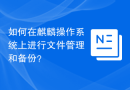 如何在麒麟操作系统上进行文件管理和备份？