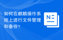 如何在麒麟操作系统上进行文件管理和备份?