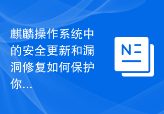 麒麟作業系統中的安全性更新和漏洞修復如何保護你的電腦？