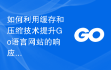 如何利用缓存和压缩技术提升Go语言网站的响应速度？