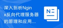 深入剖析Nginx反向代理服务器的原理和应用