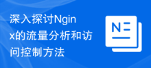 深入探讨Nginx的流量分析和访问控制方法