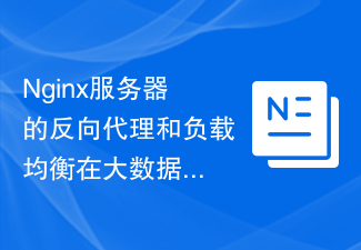 Nginx伺服器的反向代理和負載平衡在大數據場景中的應用案例分析