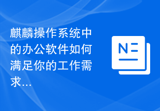 Kirin OS의 사무용 소프트웨어는 업무 요구 사항을 어떻게 충족합니까?