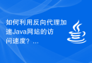 如何利用反向代理加速Java网站的访问速度？