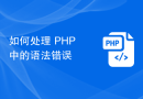 如何处理 PHP 中的语法错误